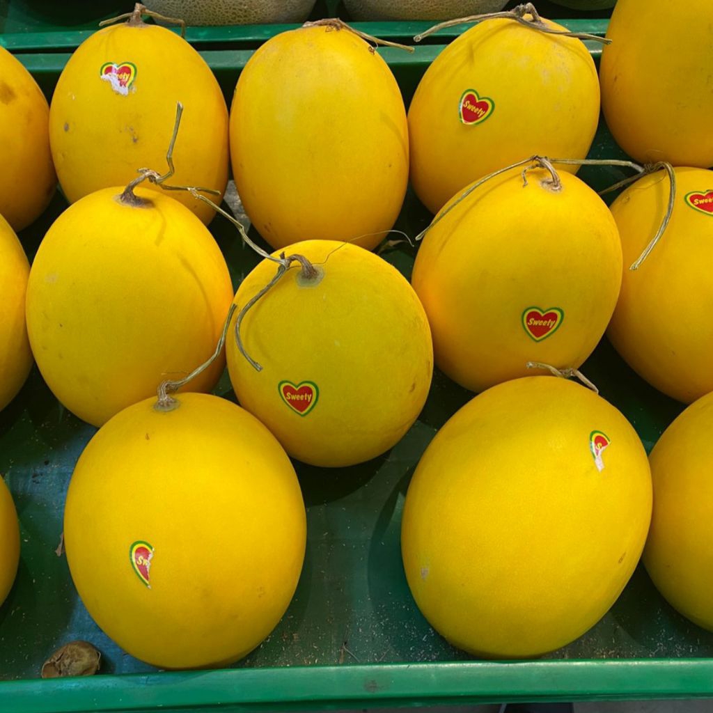 

melon rock 1 biji +-1 kg kualitas grade A tektur masih mangkel tdk keras/setengah matan