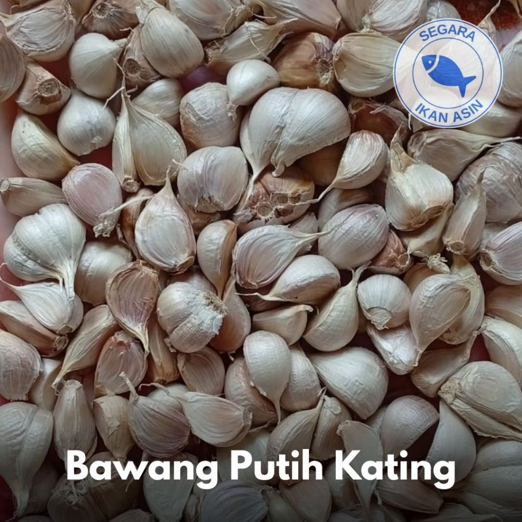 

Bawang Putih Kating | 250 gr / 500 gr / 1 kg