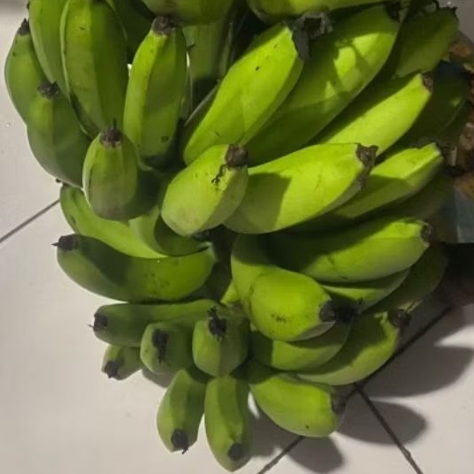 

Buah Pisang Mentah BRN Pisang Bangkaulu