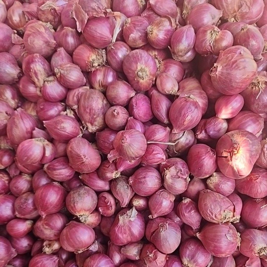 Bawang Merah Bima Kemasan 1 KG