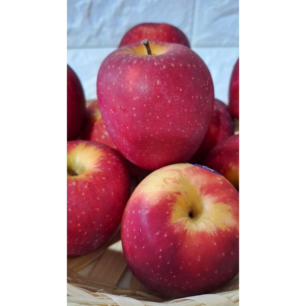 

Apel New Zealand Apel Merah Kriuk