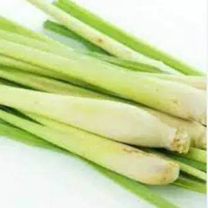 

Sereh Batang 250 Gram