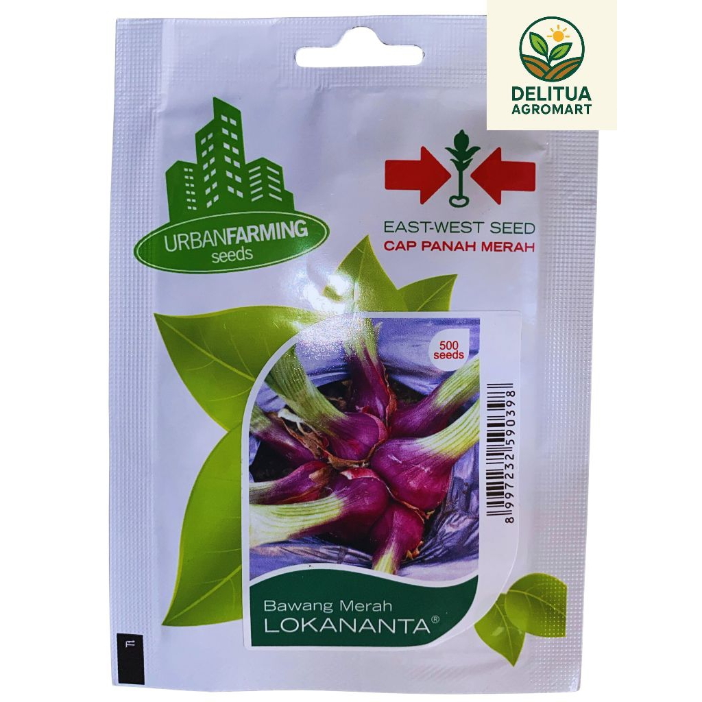 BENIH TANAMAN CAP PANAH MERAH LOKANANTA 500 BUTIR