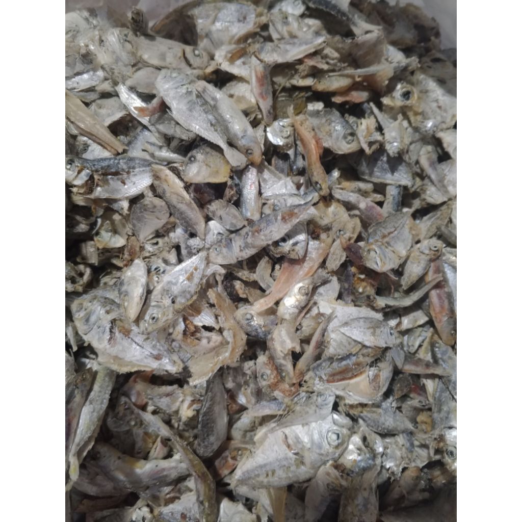 

IKAN SAMPAH REBUS LAUT