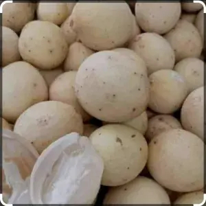 

obral duku asli palembang Manis 2kg