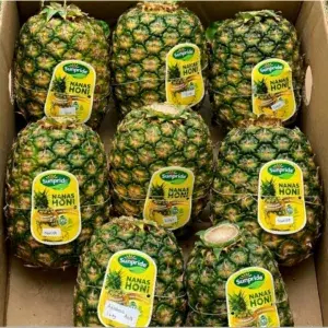 

nanas madu/nanas honi sunpride 1kg