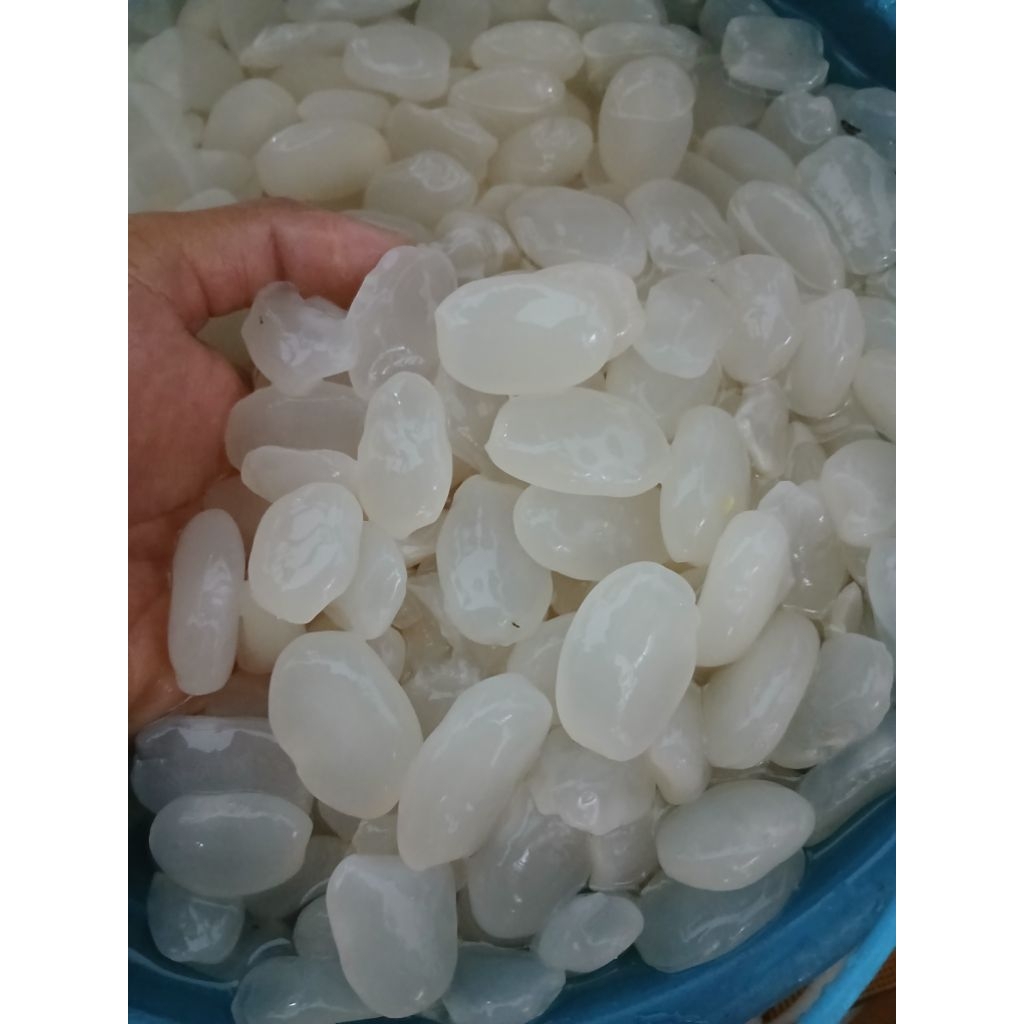 

Kolangkaling super putih 500gr