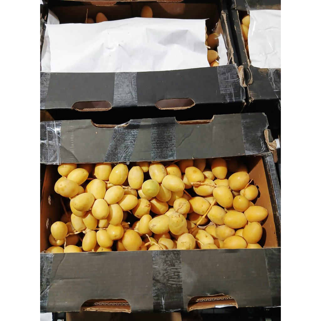 

KURMA MUDA BARHI 1KG DAN 5KG KURMA MUDA PROMIL FRESH MENGKAL