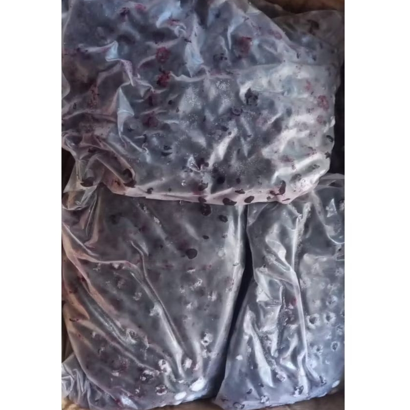 

Buah Blueberry Frozen / Blue Berry Beku