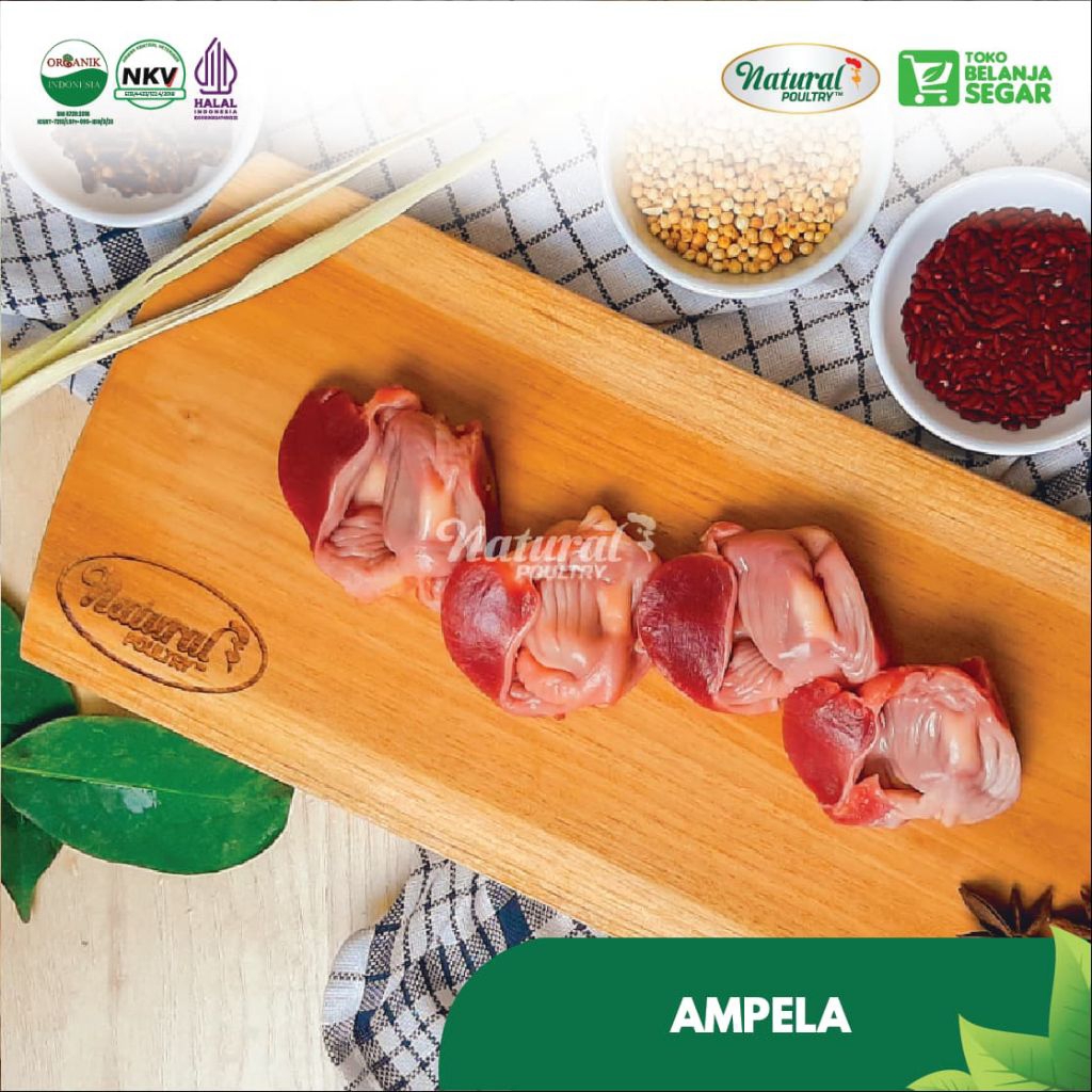 

Ampela Ayam Organik Probiotik Natural Poultry