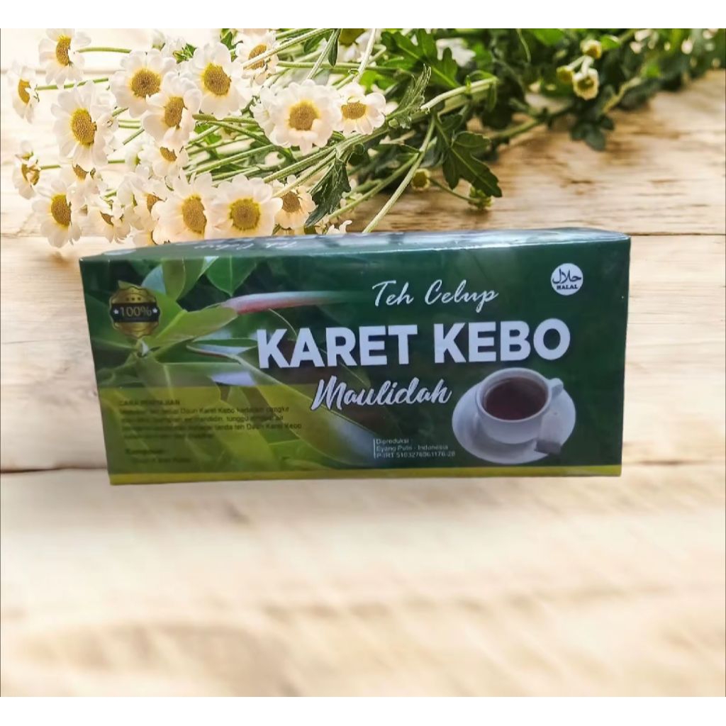 

TEH CELUP DAUN KARET KEBO ISI 20 KANTONG