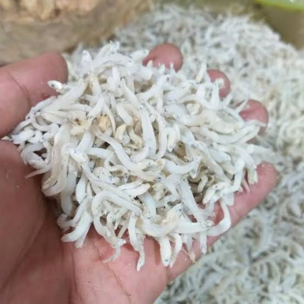 

Ikan Terinasi Medan (Seafood Kering)