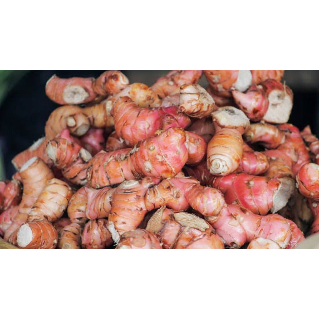 

Lengkuas Rempah Rempah Laos Bumbu Dapur 250 g