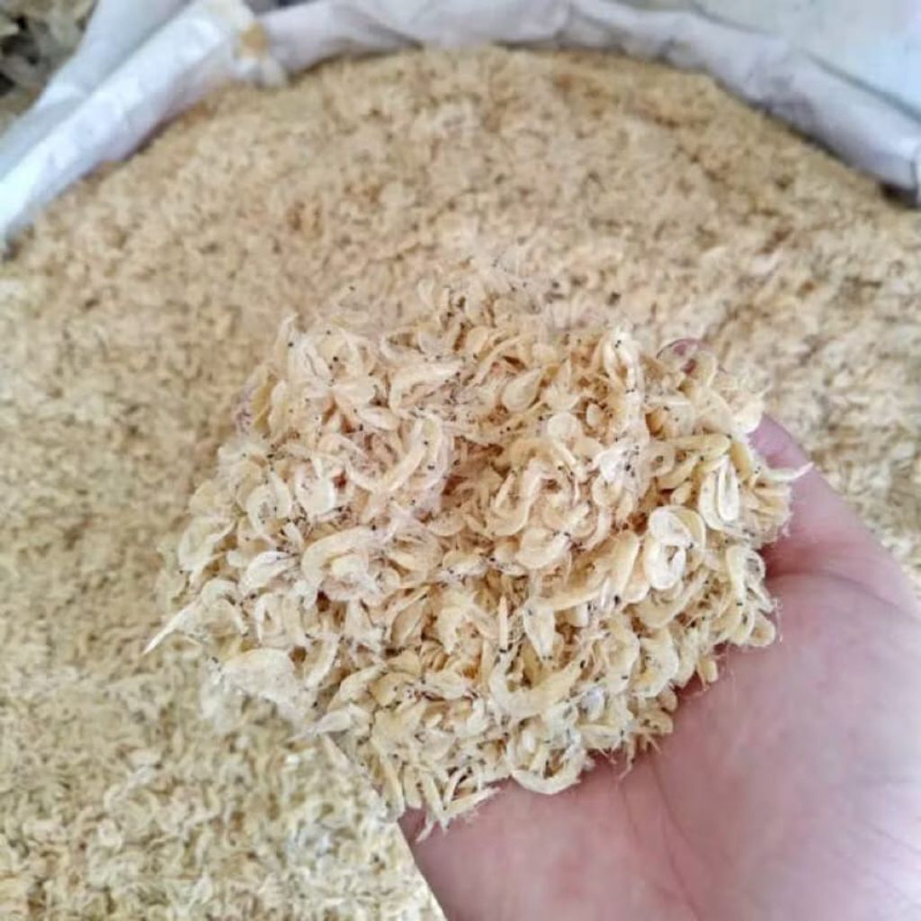 

( SERBA 5000 ) IKAN ASIN REBON