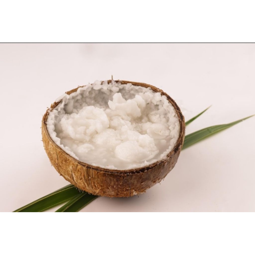 

kelapa kopyor zize jumbo asli dari alam diameter 58-63