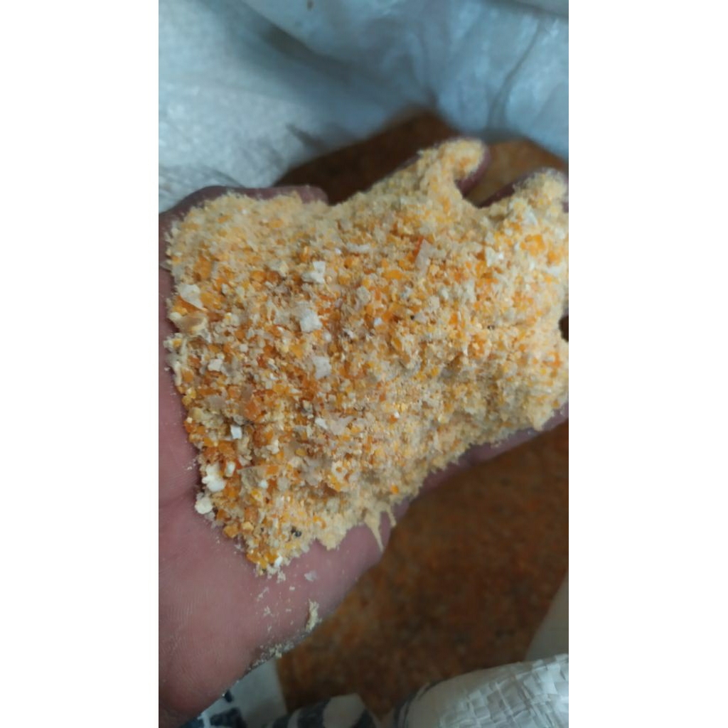 JAGUNG GILING PAKAN AYAM /JAGUNG PECAH MURAH/JAGUNG PAKAN AYAM