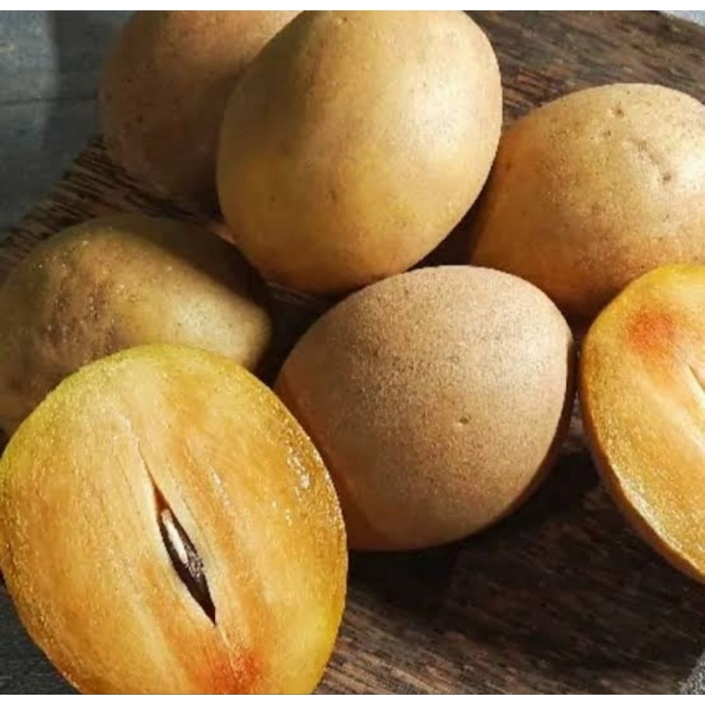 

Buah Sawo Tua Siap Matang 1 kg