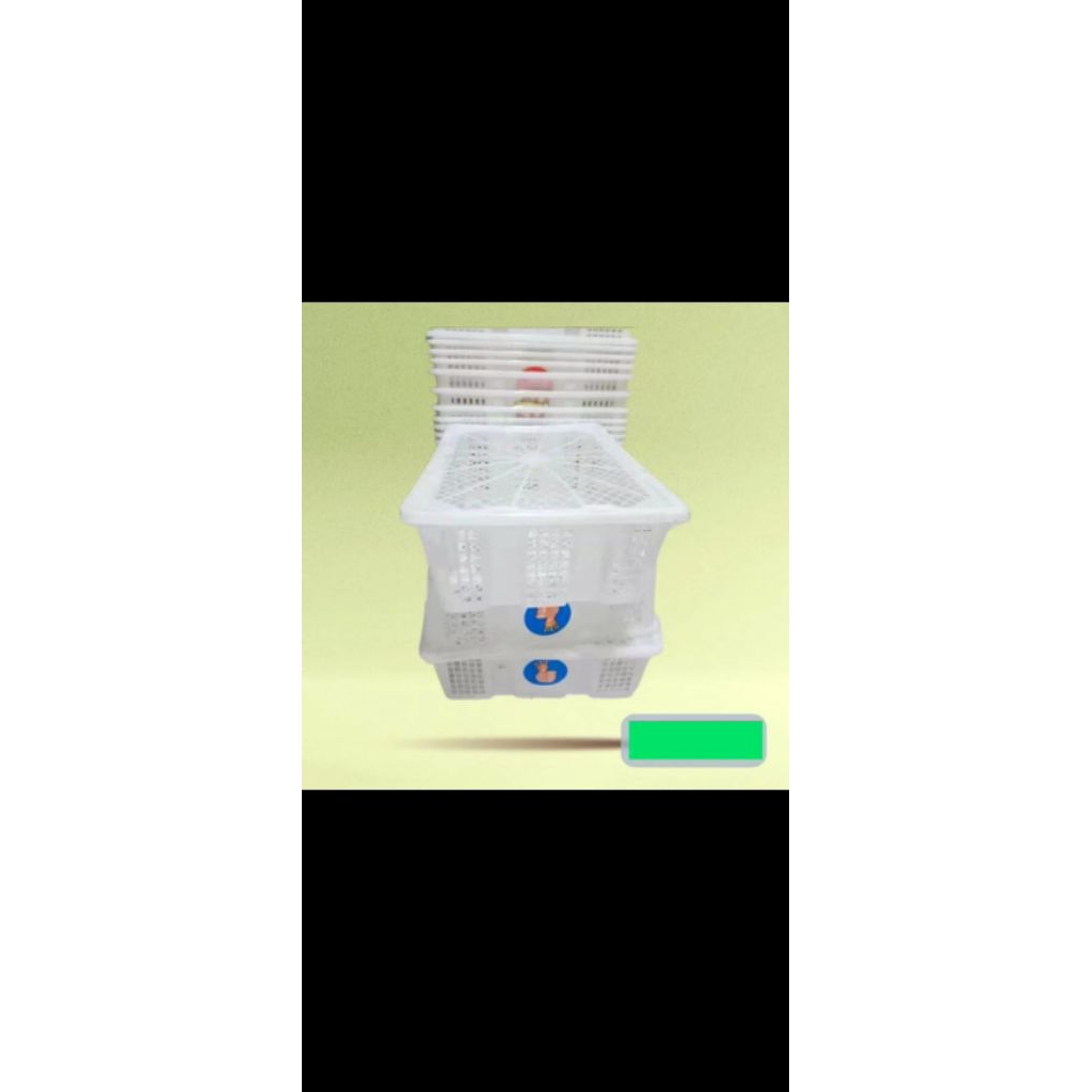 KERANJANG KELENGKENG HARGA PER PCS WARNA PUTIH KERANJANG SERBAGUNA