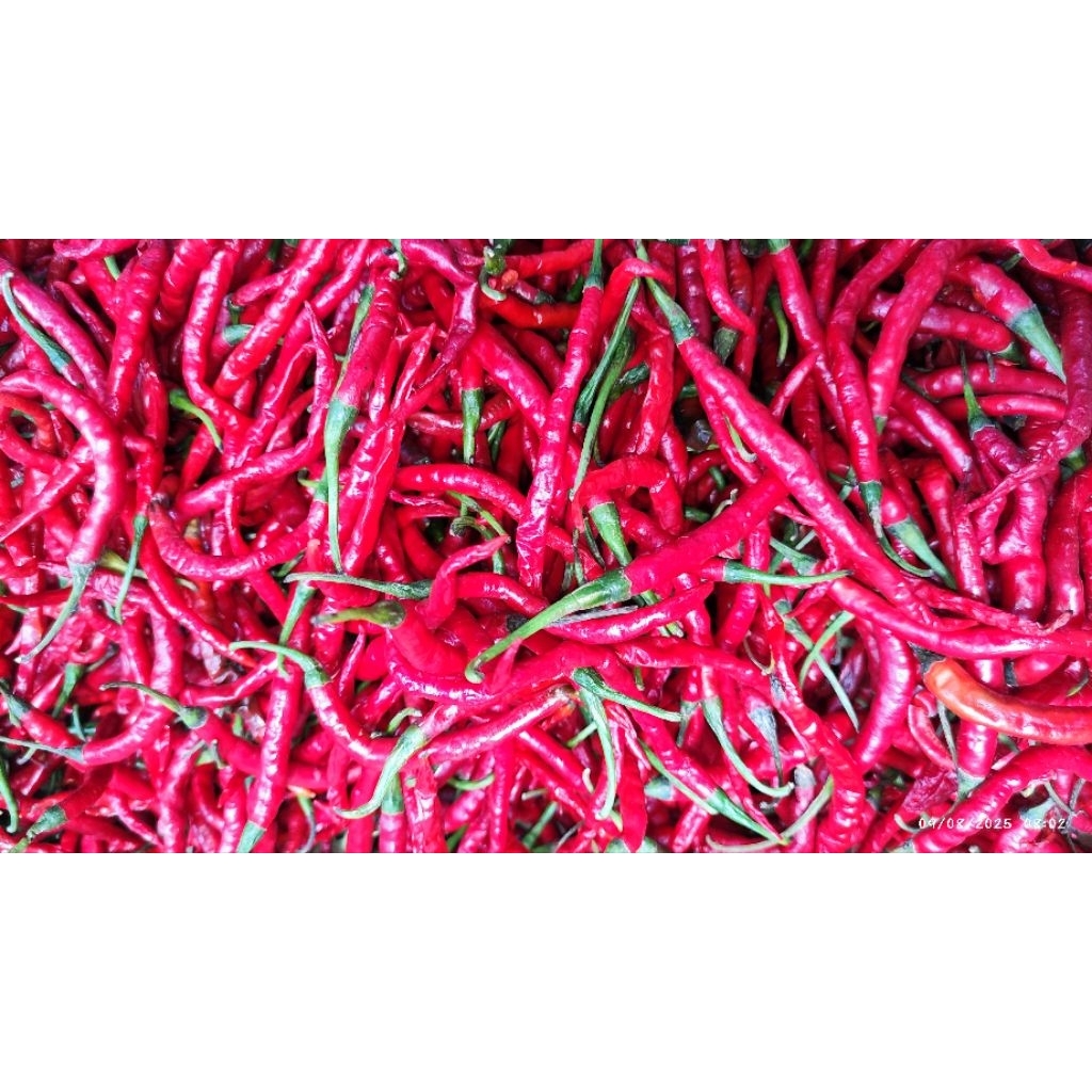 

CABE MERAH KERITING 500GR