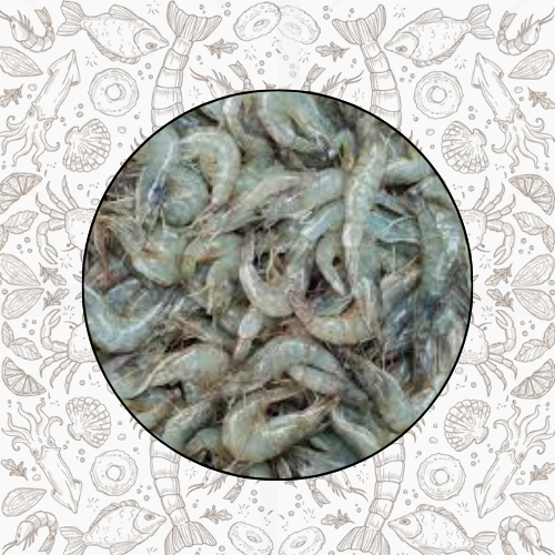 

1/2KG UDANG VANAME FRESH FROZEN QUALITY PREMIUM