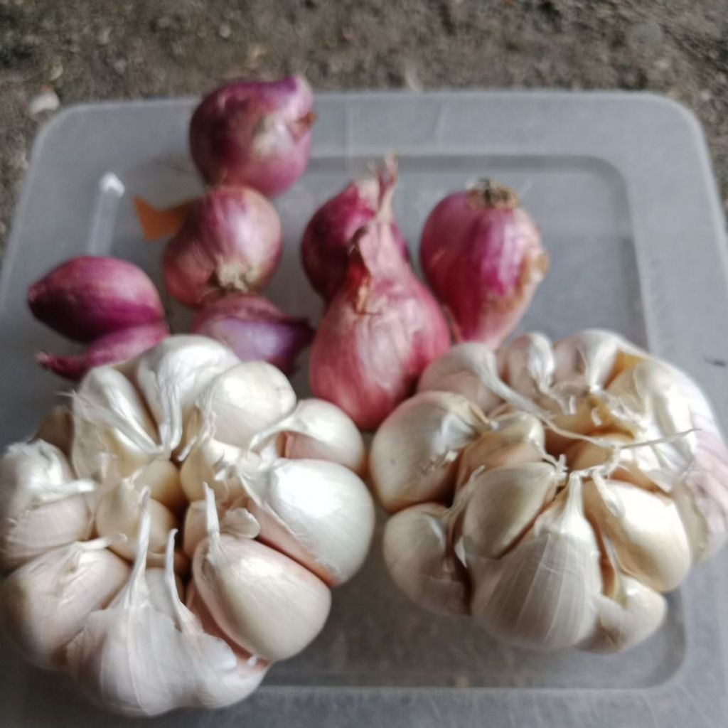 

paket hemat bamer baput 500gr