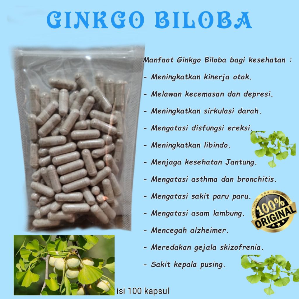 Ginkgo Biloba/Gingko biloba. Herbal Nutrisi Otak/ Isi 100 Kapsul