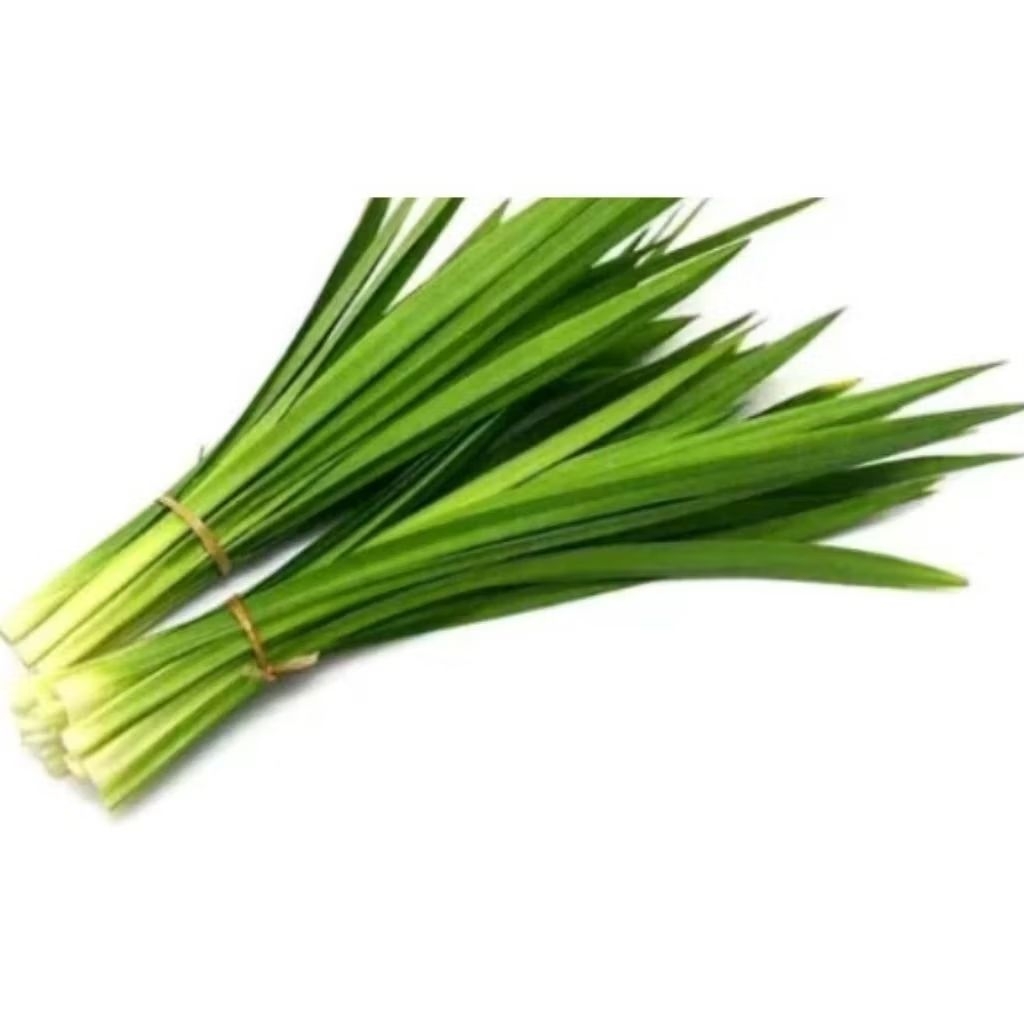 

DAUN PANDAN SEGAR PER IKAT/ DAUN PANDAN SEGAR