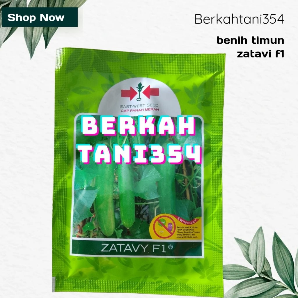 benih timun zatavi f1 benih mentimun zatavy f1