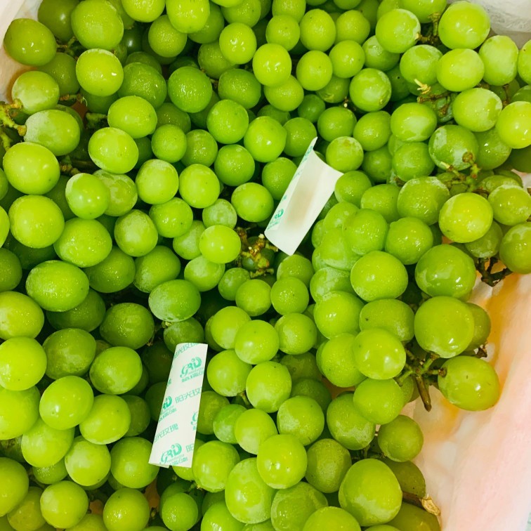 

Anggur Shine Muscat Curah