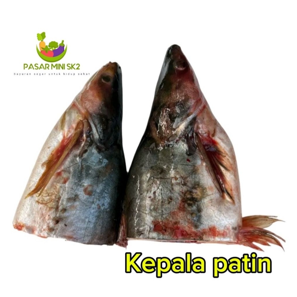 

kepala patin fresh berat +-500gr