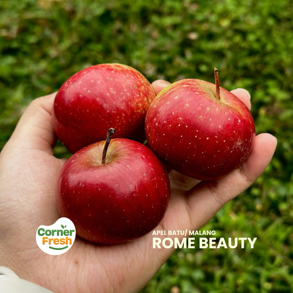 

Apel Malang Rome Beauty ukuran kecil 1kg isi 19-22 Buah