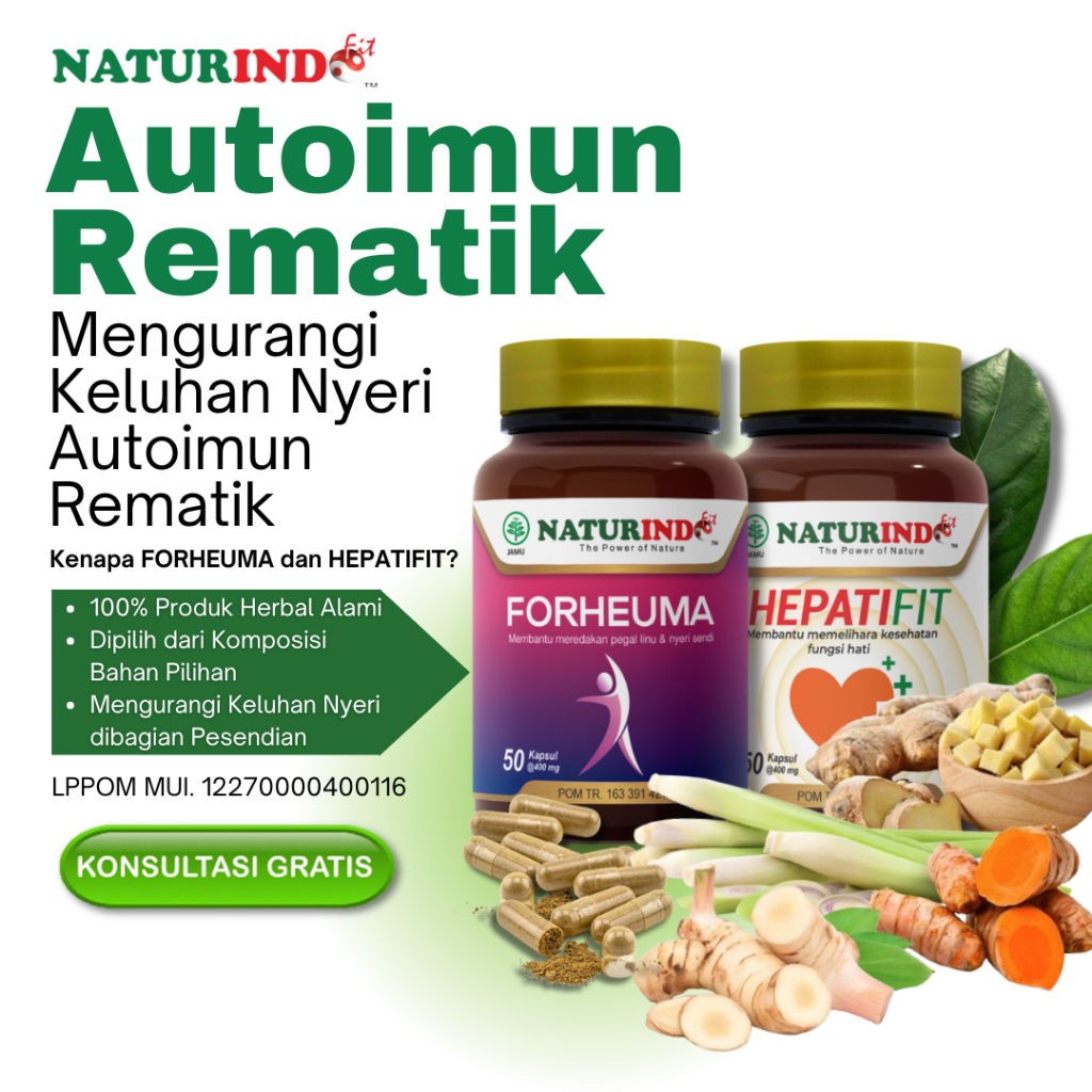 Obat Autoimun Rematik Autoimun Rhematoid Arthritis Nyeri Sendi Naturindo