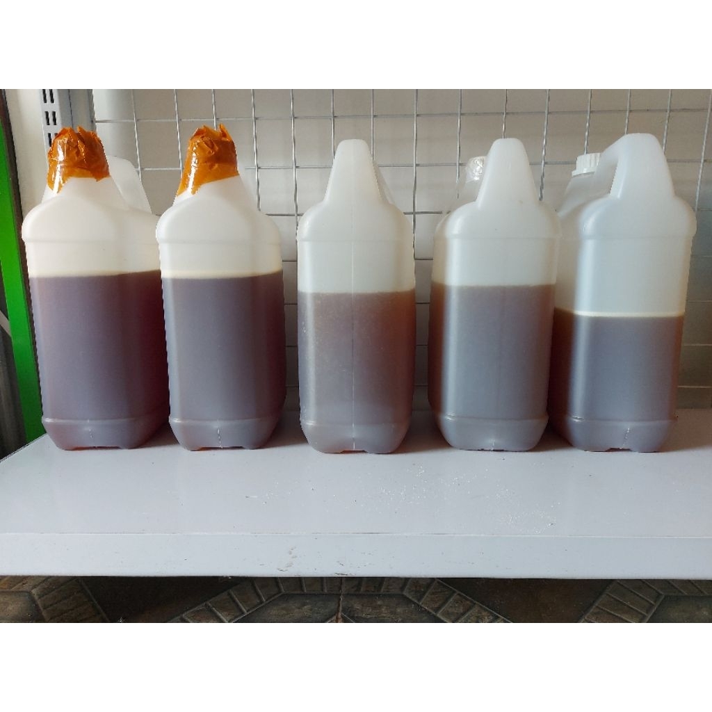 

Madu Trigona Itama_Dominan Manis 5 Kg