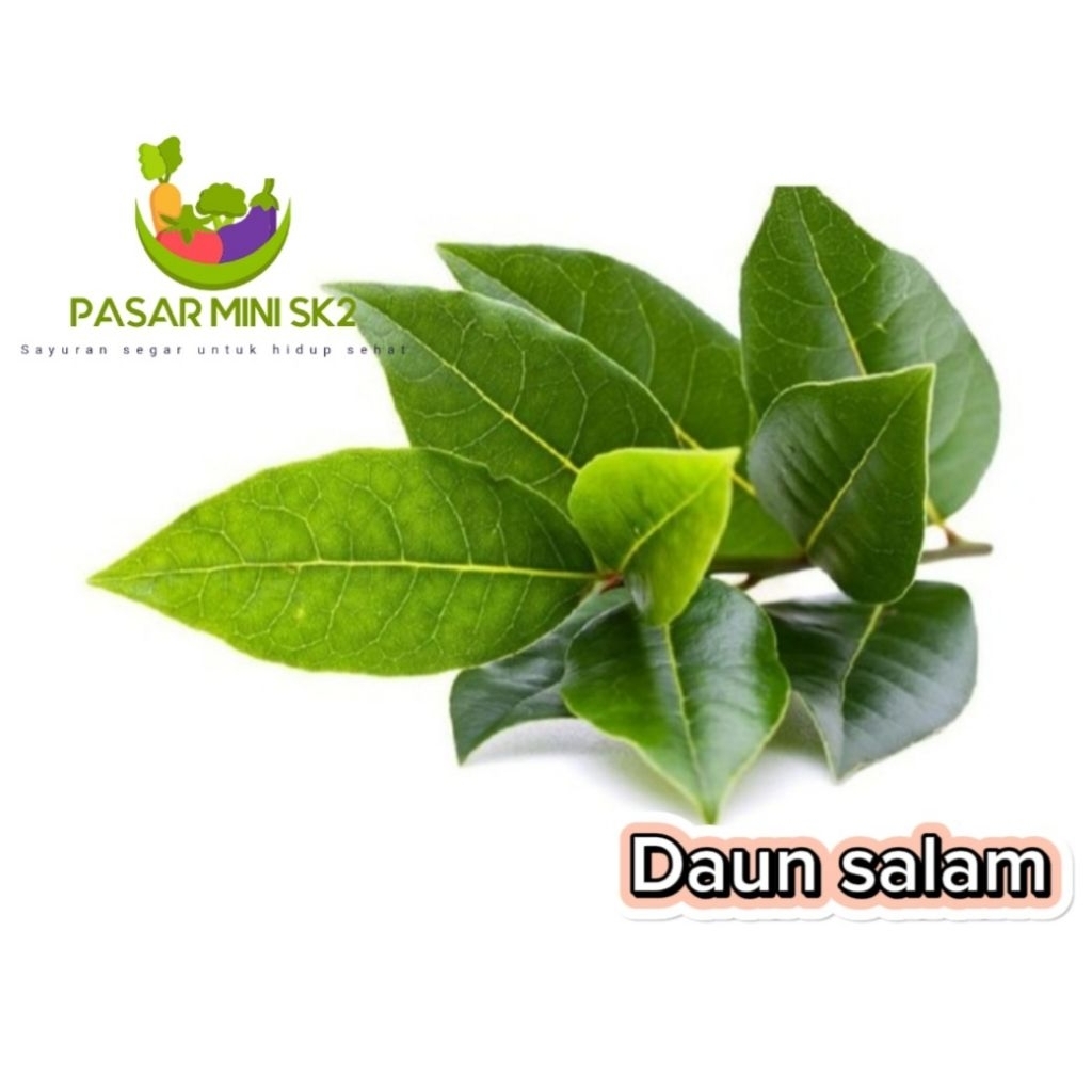 

daun salam 1 ikat