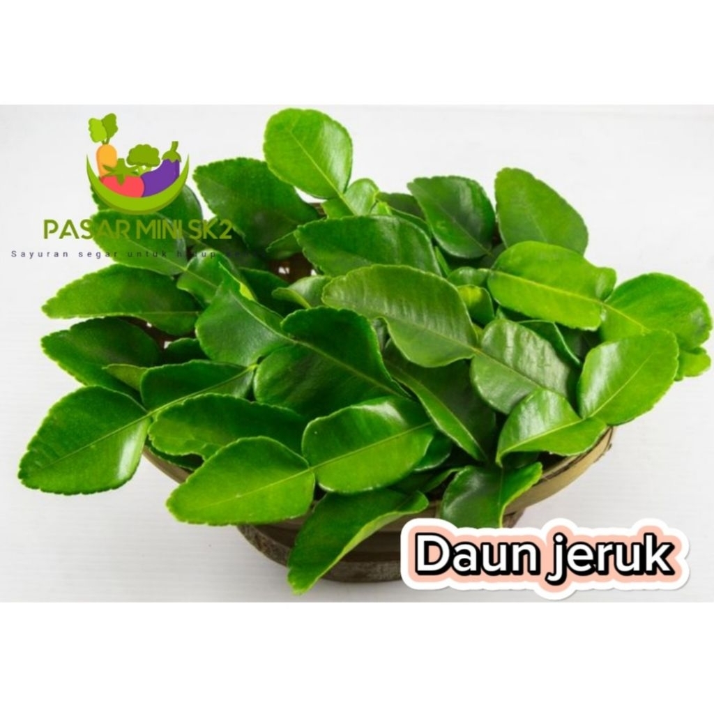 

Daun jeruk