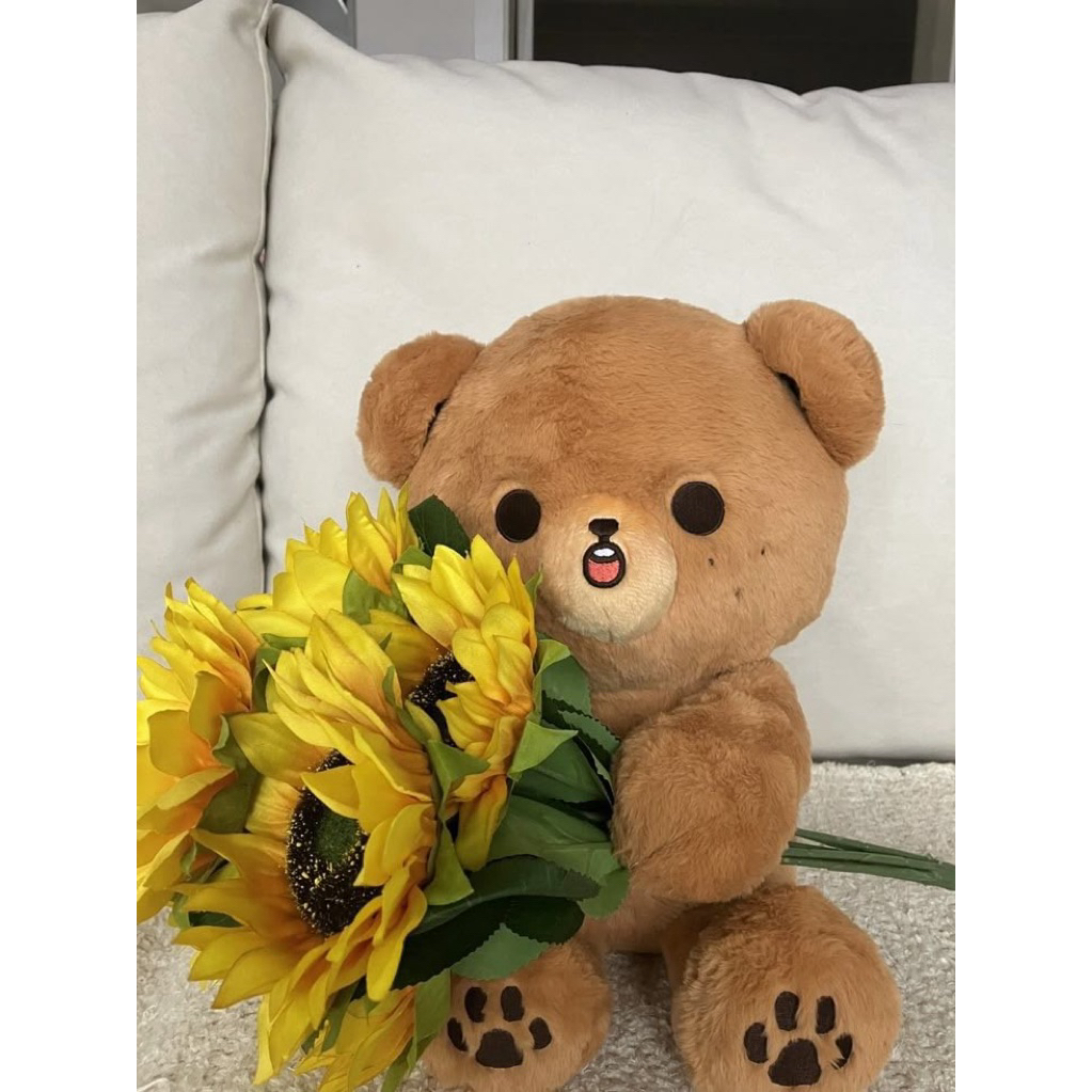 [READY STOCK] LIPTINT PRELOVED GOMDO LEE 40CM NCT DREAM HAECHAN DOLL