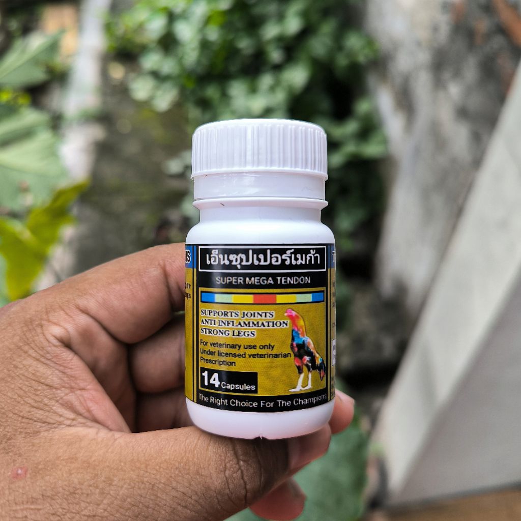 Obat Ayam Turun Urat Super Mega Tendon Obat Ayam Turun Urat Lumpuh Tedun Untuk Sakit Tedun Tedun Ram