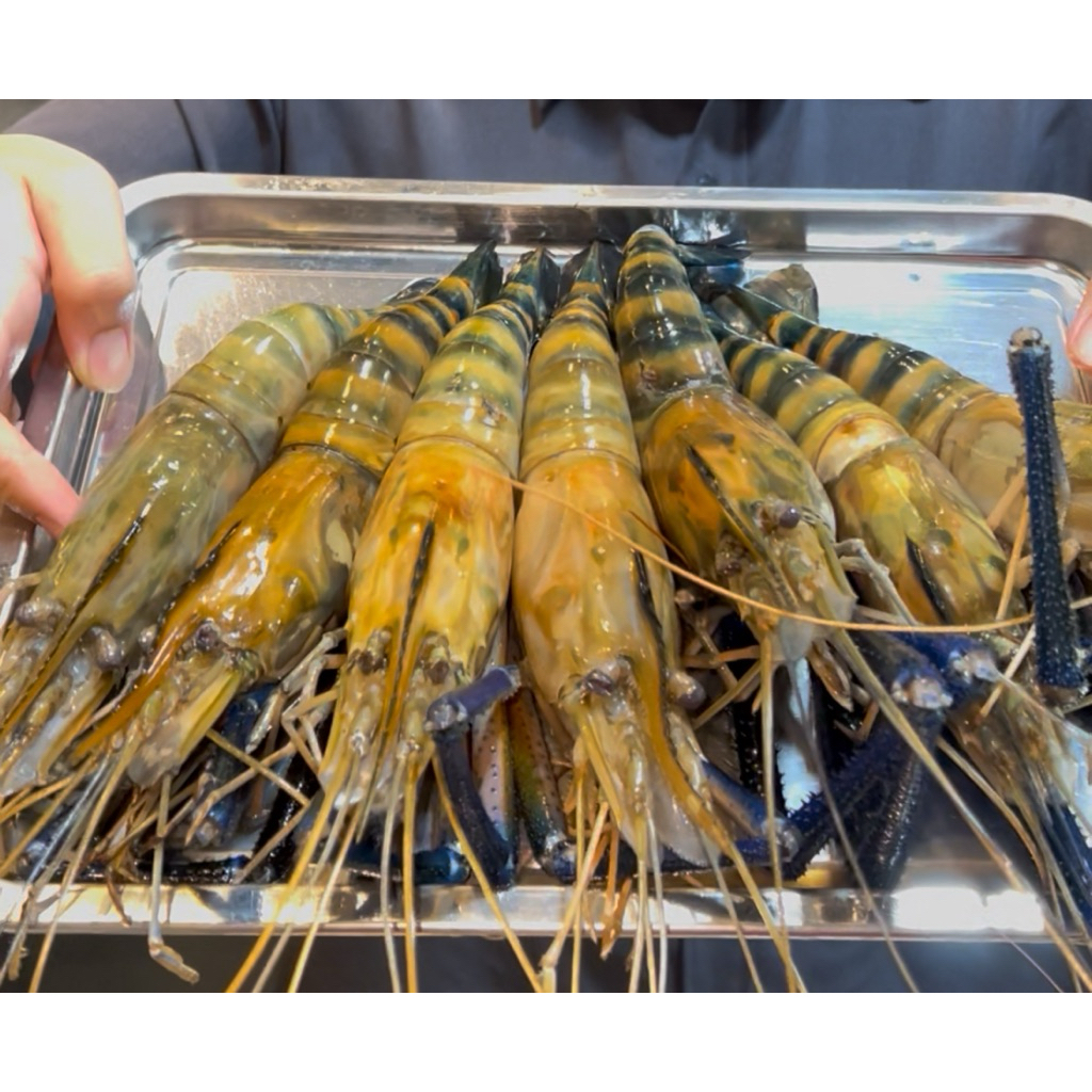 

Udang Galah 1KG. Fresh River Prawn Ukuran 4-6 ekor/kg