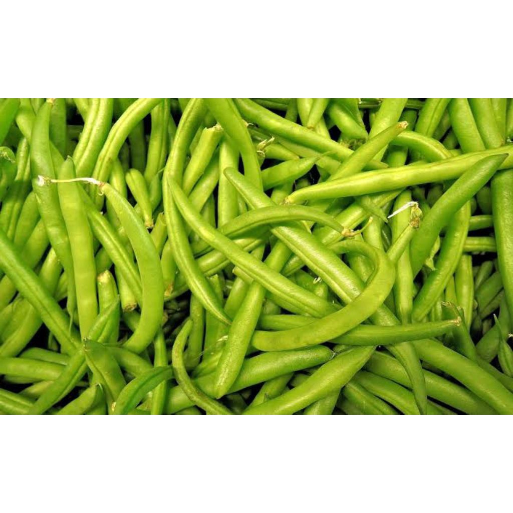 

ronanaplant Buncis FRESH 250gr hasil pertanian lereng lawu