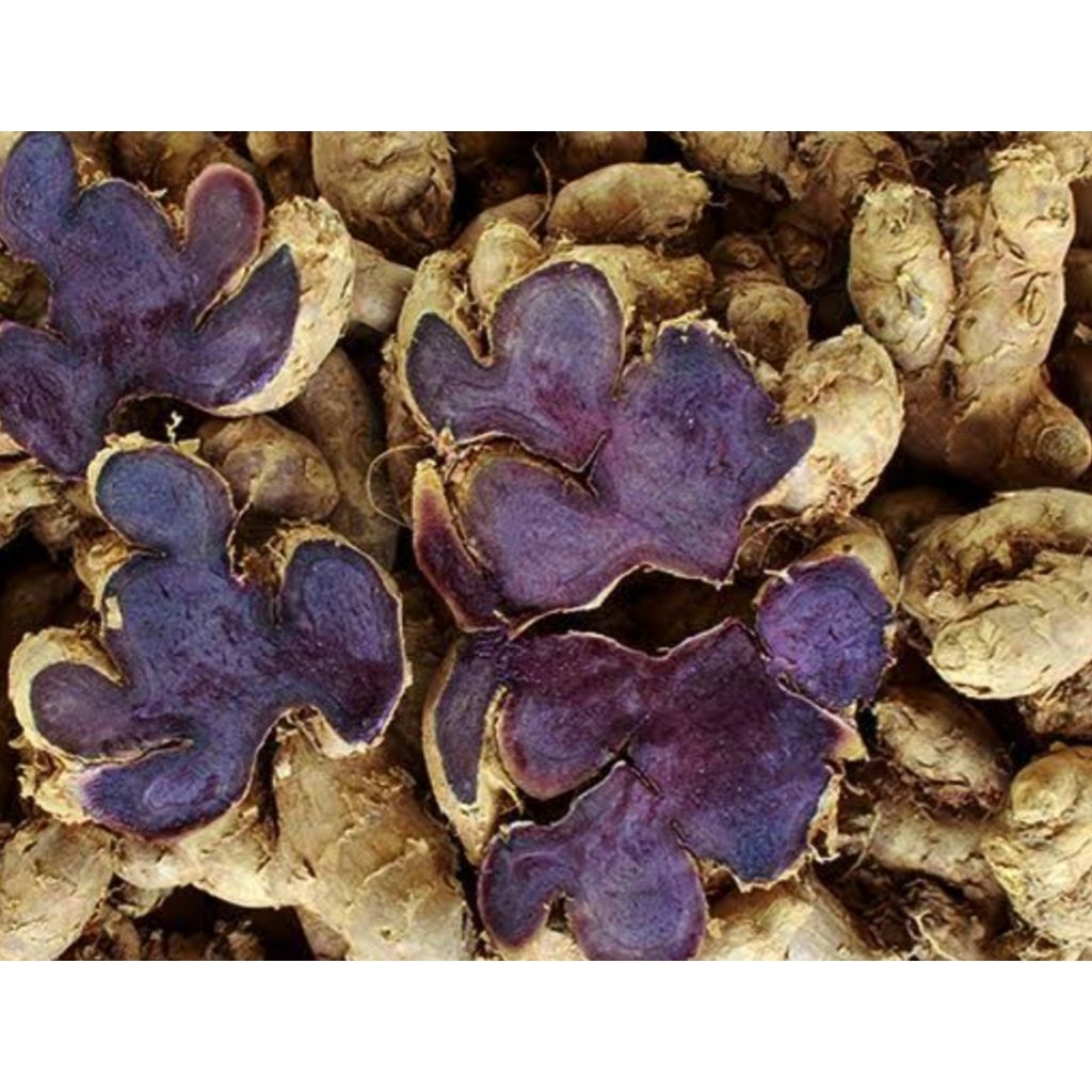 

kuyit hitam asli/500grm