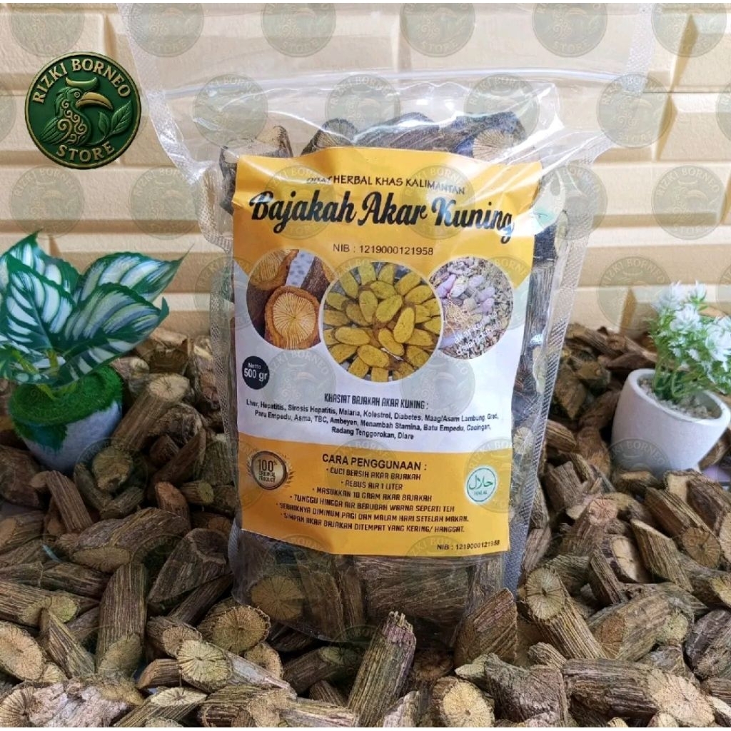 

Bajakah Akar Kuning Asli Kalimantan