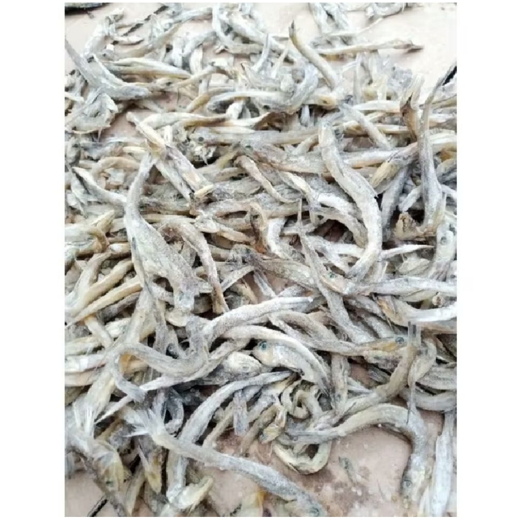

Ikan Asin Kacangan Cirebon 1kg 500g 250g Promo Murah