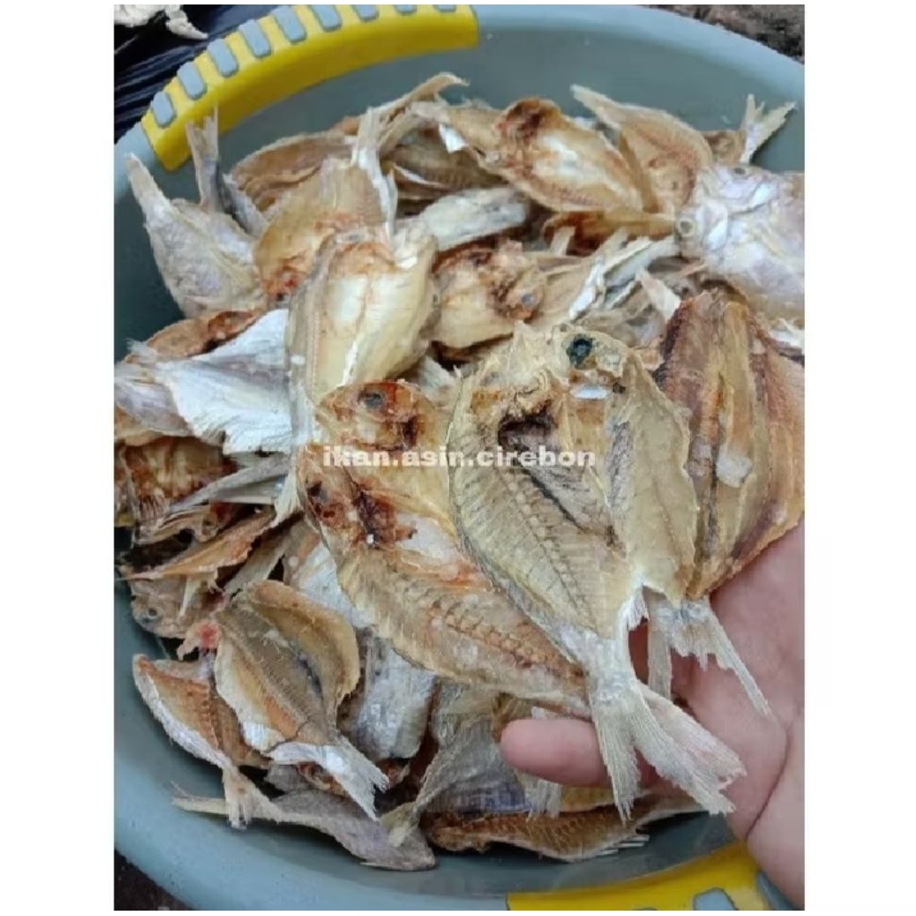 

Ikan Asin Tawar Cirebon 1kg 500g 250g promo murah