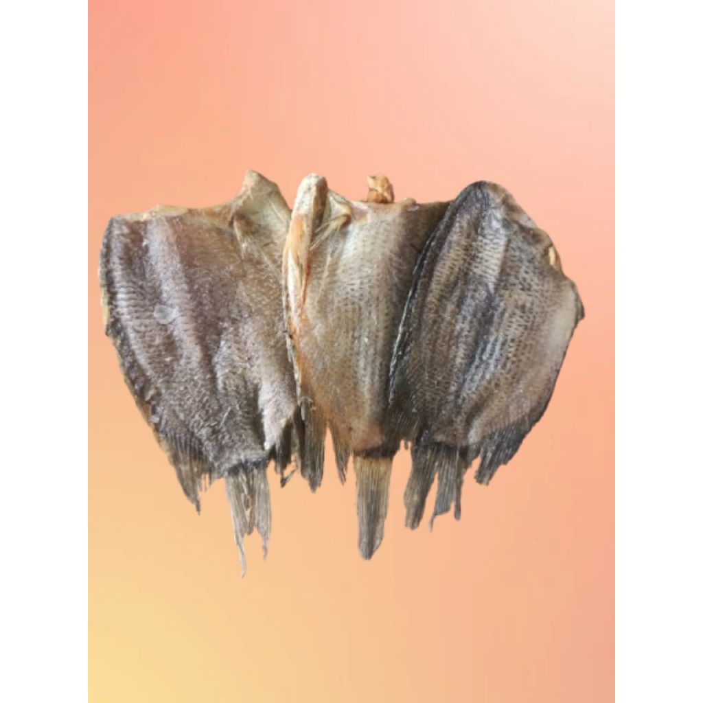 

SEPAT TEMBAKANG GEDE/SEPAT TANPA PALA [ 1 KG ] QUALITY SUPER DAN KERING