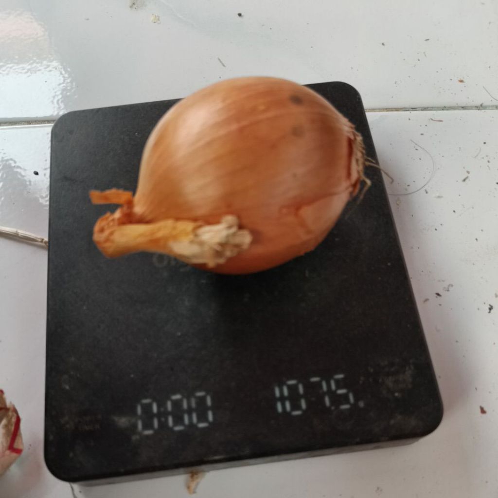 

BOMBAY 100GR/1ons MURAHH