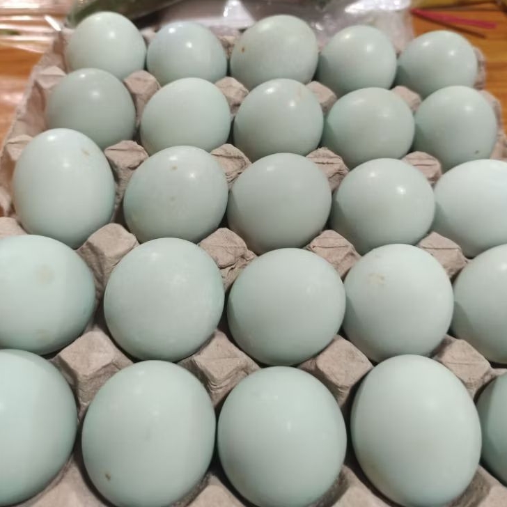 

Telur Asin Matang - 1 butir