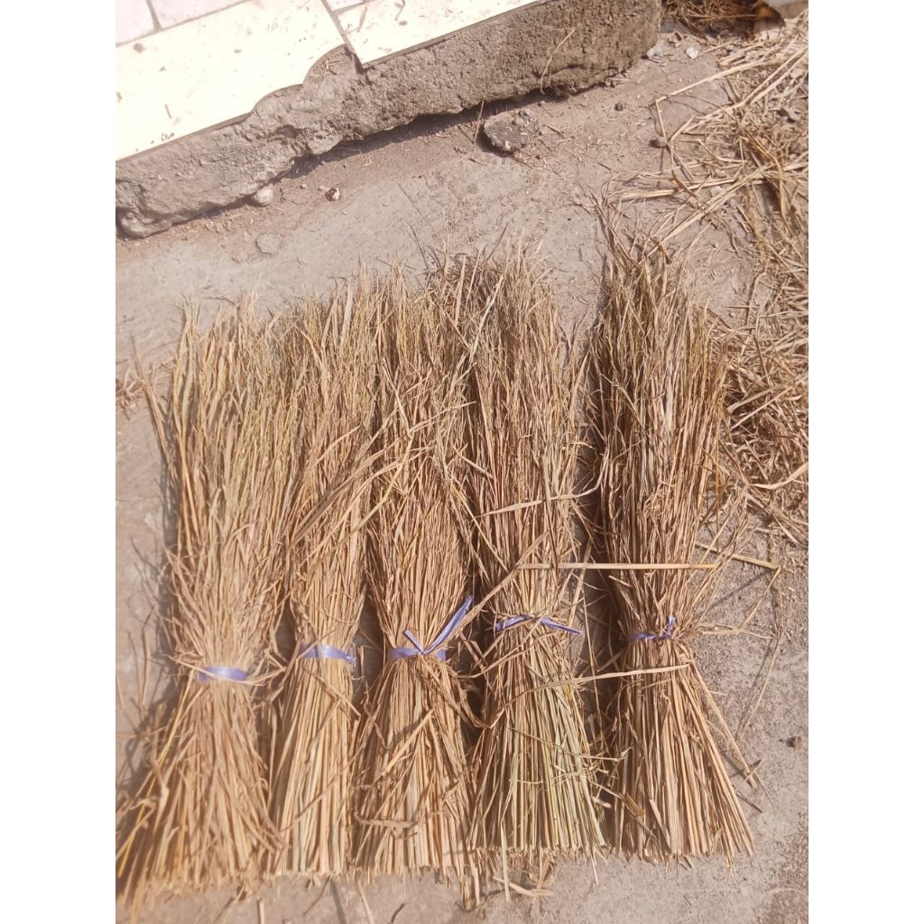 jerami kering pilihan 1kg