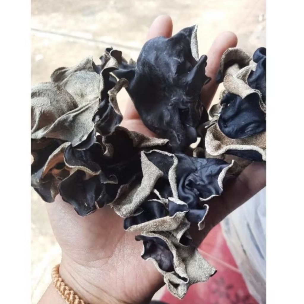 

Jamur Kuping Kering 100 Gram Grade A Super / Jamur Hitam 100 Gram Sortir