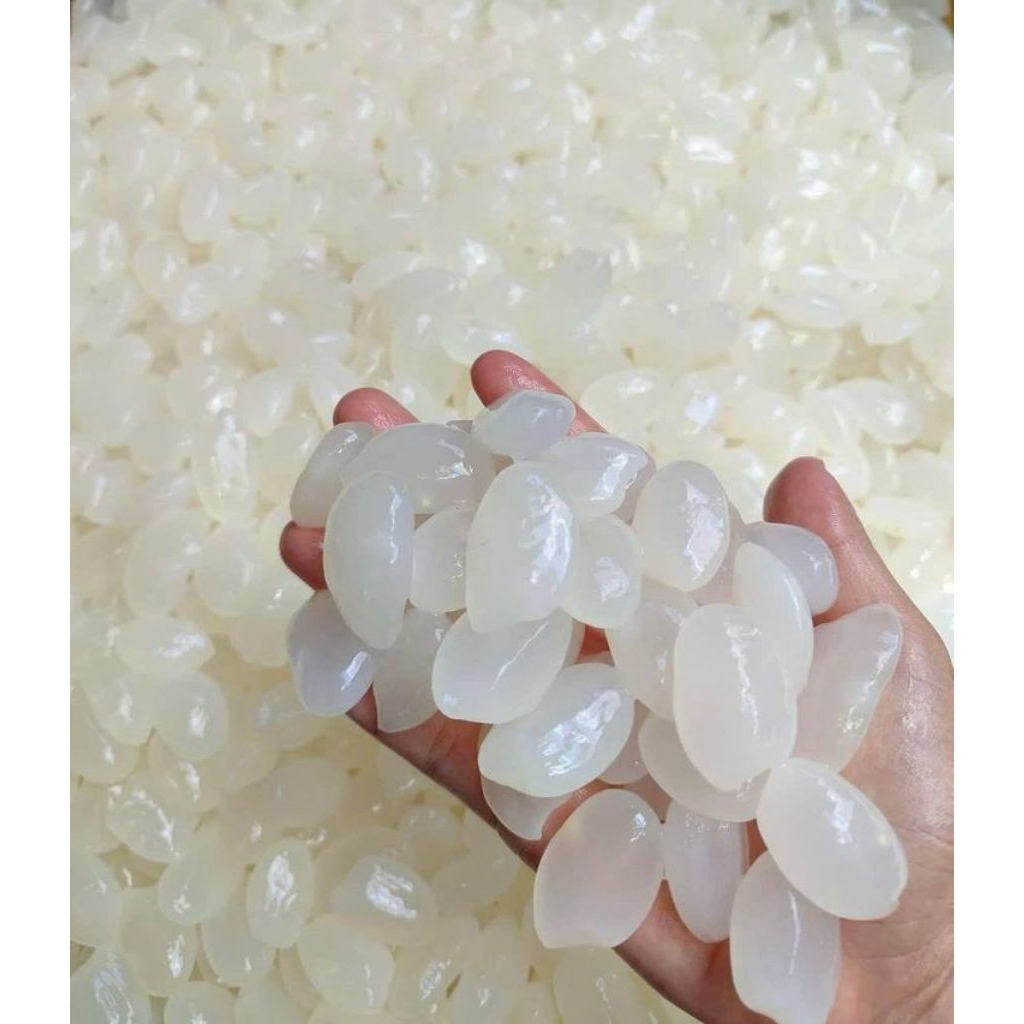 

Kolang Kaling Segar Asli 1Kg – Cocok untuk Manisan, Kolak dan Minuman