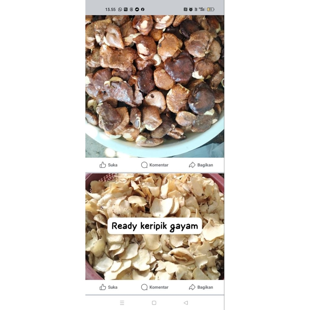 

keripik gayam khas tuban